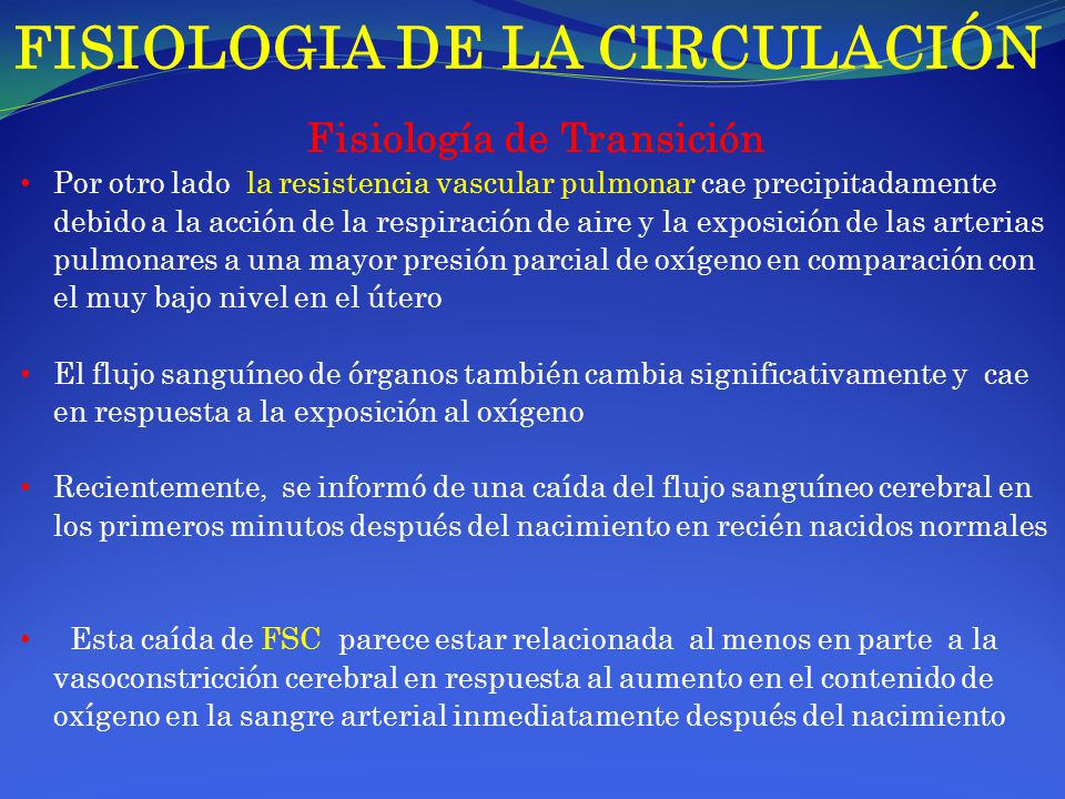 Órganos de alto flujo sanguíneo
